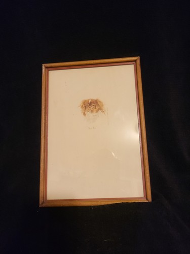 Vintage dog portrait cavalier - portrait,