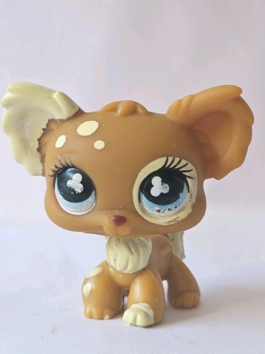 Chihuahua dog 963 - chihuahua, #963