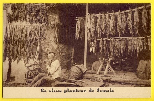 Cpa vieux planteur tabac - vieux, de
