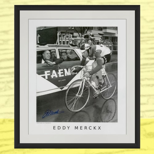 Eddy merckx signed print - merckx, print-