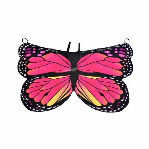ailes papillon deguisement