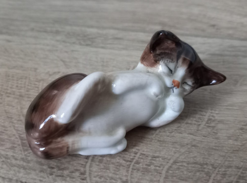 Cat chat chaton royal - chaton,