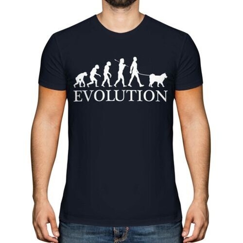 Samoyède evolution homme - evolution, de