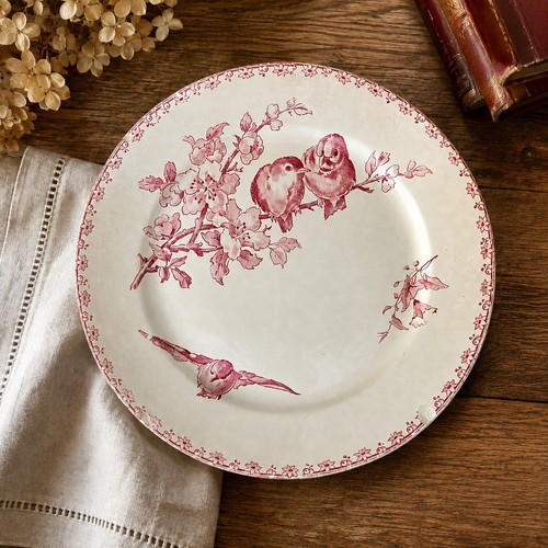 Assiette ancienne faïence - assiette,