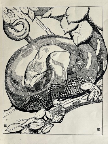 Paul jouve gravure - art, deco
