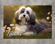 Puzzle chien Bichon havanais personnalisé avec prénom