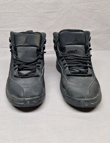 Nike air jordan xii - nike, retro