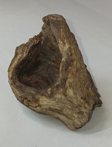 Unique natural driftwood - unique,