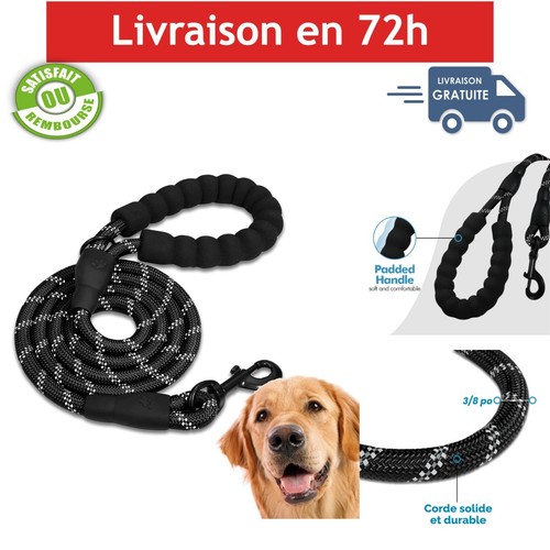Laisse chien dressage corde