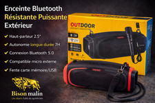 🦬🔊Enceinte Bluetooth