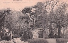 50 ROMAN PORTAL BRANCHES IN THE GARDEN OF PLANTS