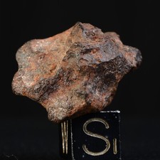 Météorite NWA 15738 de 15,19