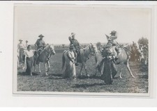 Environs Saintes Maries de la Mer - Photo Georges (Arles) - Manade - End of Je