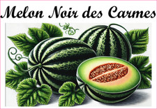 Melon Noir Carmes 12 sticker vinyl conserve fruit légume confiture fait maison