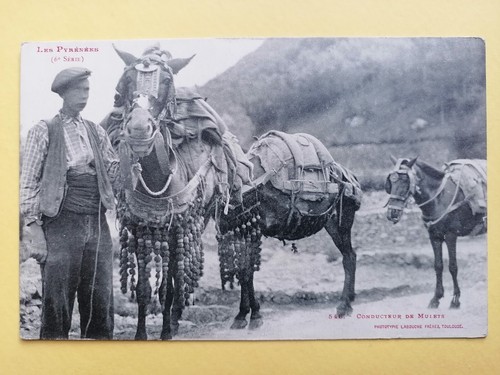Old postcard the pyrenees - postcard,