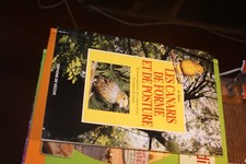 les canaris de forme et de posture