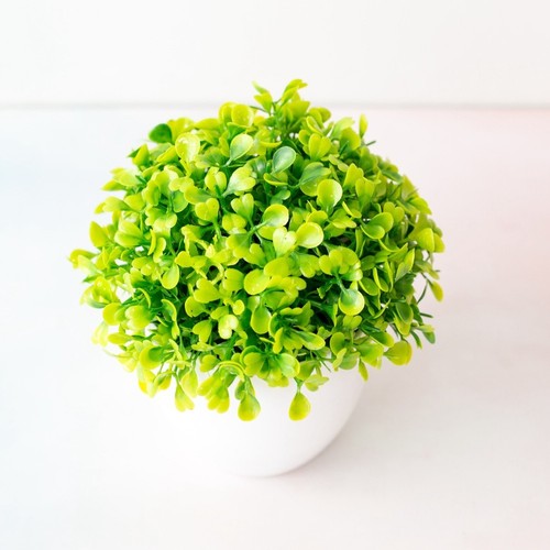 Plante bonsaï artificielle - , en