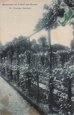 94 L HAY LES ROSES ROSERAIE DE