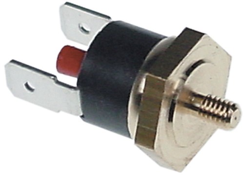 Rancilio 34200058 thermostat - rancilio,