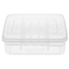  Plastic Reptile Egg