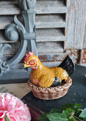 Ancienne poule dans son - poule,