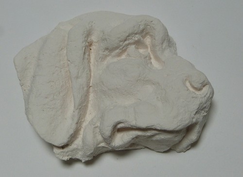 Tête chien plâtre - de,