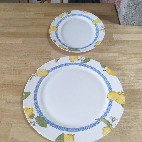 Plat arcopal - plat,