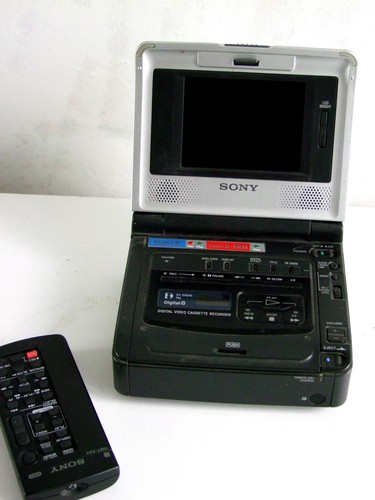 Sony d800e video - gv, walkman