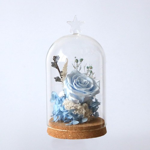 Cloche verre clair de pot - verre,
