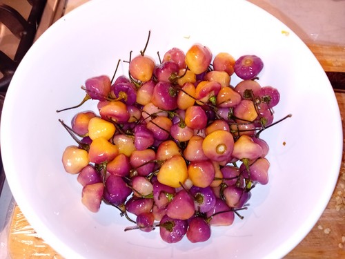 Graines piment cheiro - 20,