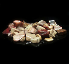Lot Natural Fossilized Wood Stones Men Woman Lithotherapy Reiki