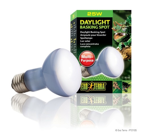 Exo terra ampoule daylight - exo,