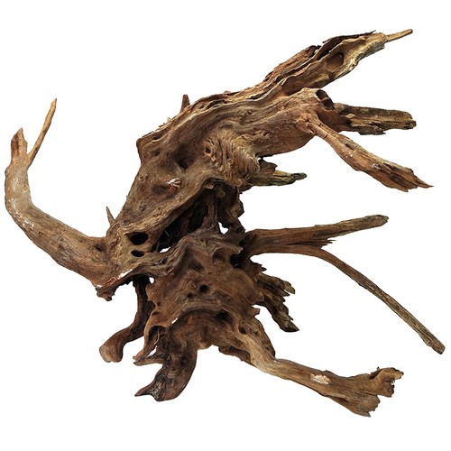 Large natural aquarium - large,