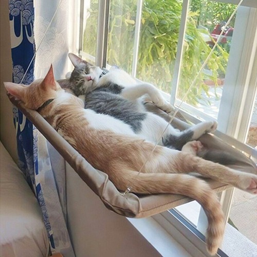 Hamac pour chat lit - chat,,
