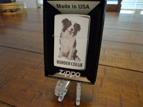 Border collie dog zippo - dog,