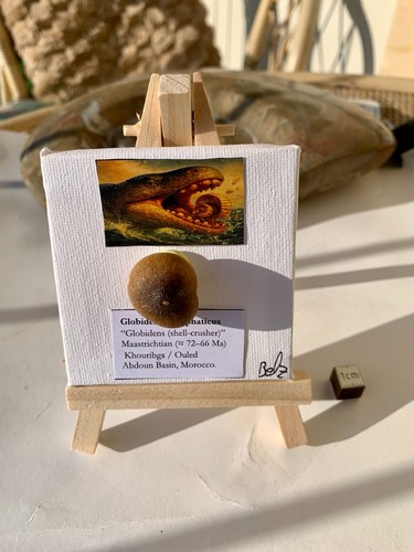 Mini art display globidens - display, –