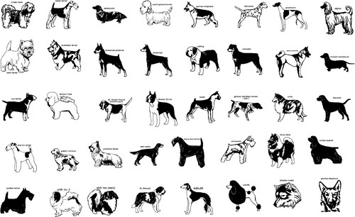Custom various dog breeds - various,