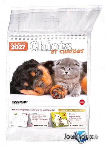 Chiots chatons calendrier - et,