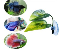 Décor Feuille Apaisante Betta