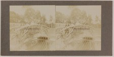 Parc Enfants France Photo Stereo Amateur Th2n6 Vintage Citrate c1900