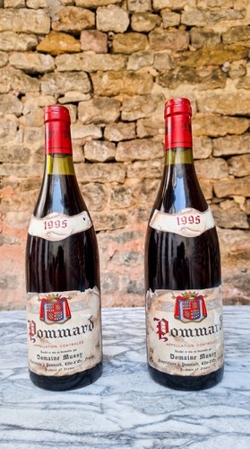 Bouteilles pommard 1995 - bouteilles,