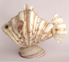 Coquillages sculptés en forme