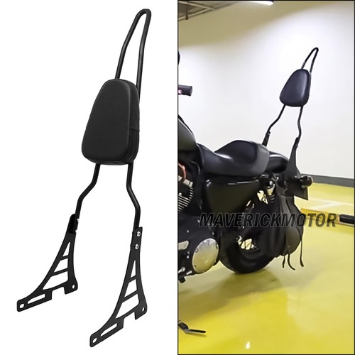 Passenger tall sissy bar - passenger,