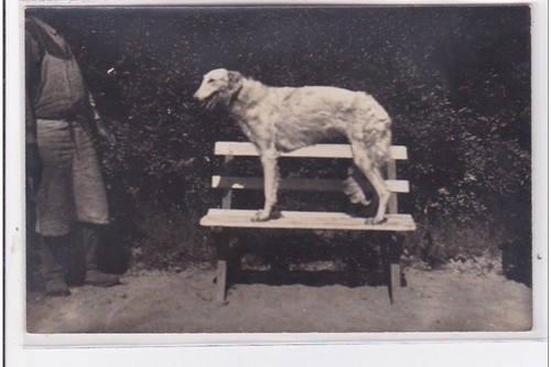 Cyprien carte photo - st-cyprien, :