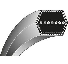 Courroie Trapezoidale Tondeuse