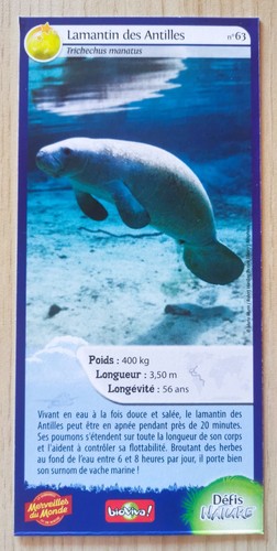 Carte merveilles monde - merveilles,