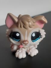 petshop chien chiot husky