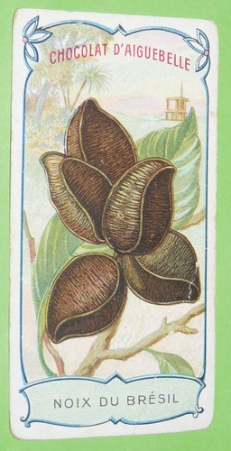 Chromo 1900 1920 - 1900-1920, chocolat