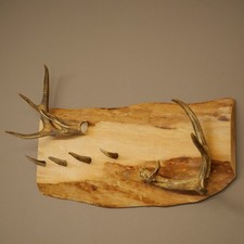 Geweih Garderobe Murale Neu 4