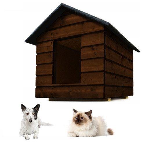 Qls chien maison chat - qls,